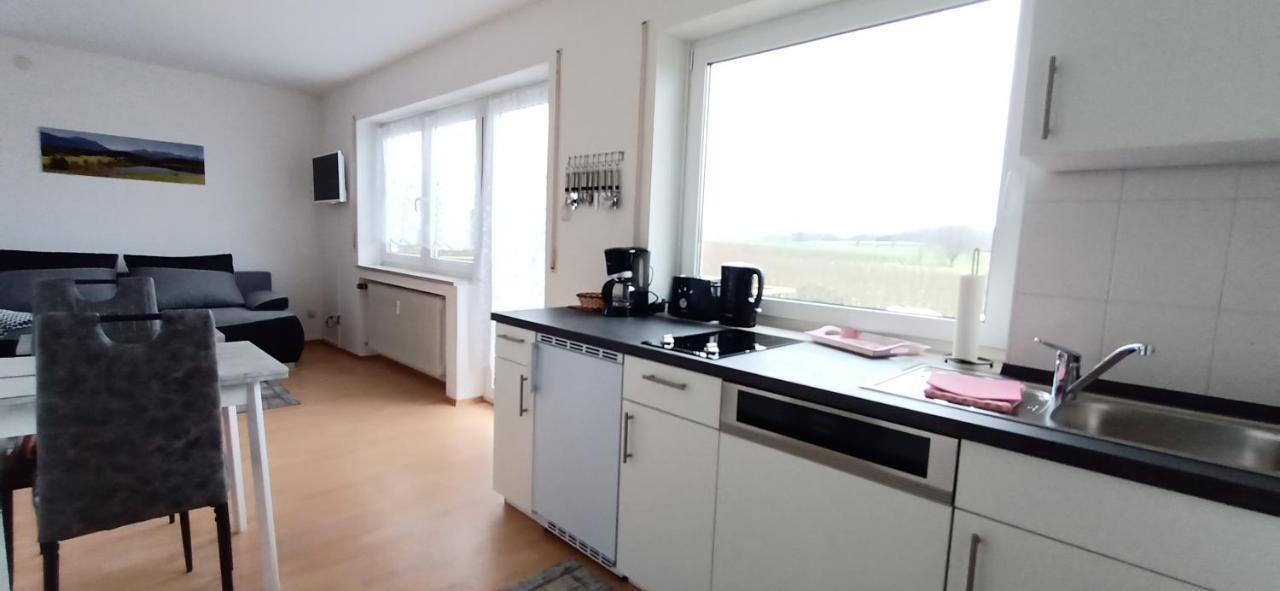 Bodensee Apartments Friedrichshafen Schnetzenhausen Exteriör bild